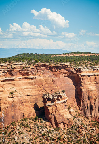 Overlook at Colorado National Monument