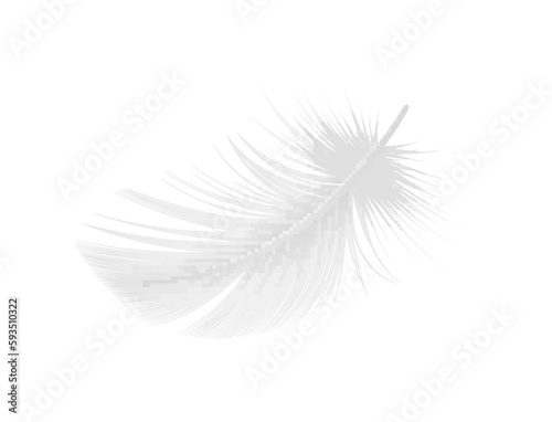 Realistic White Feather