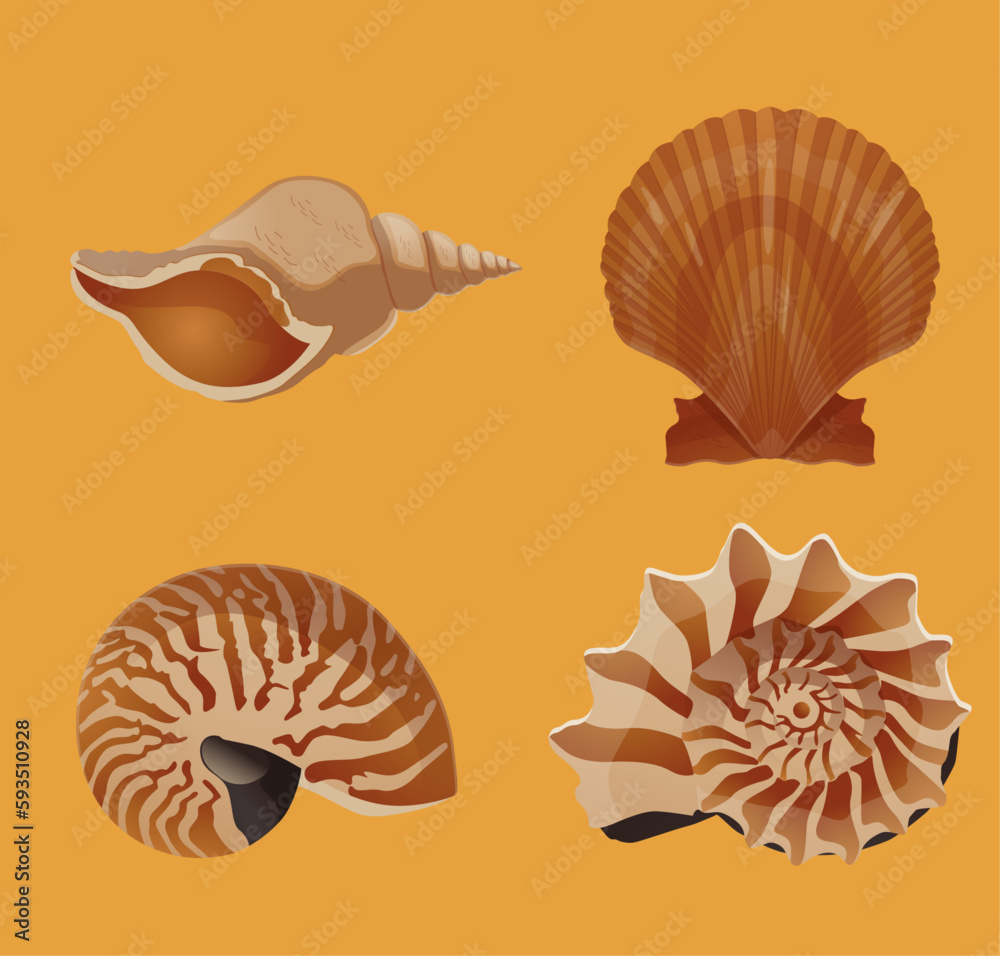 Obraz premium Set Collection Shell Wiht Orange Background
