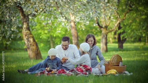 Family picnic in the Park on the grass