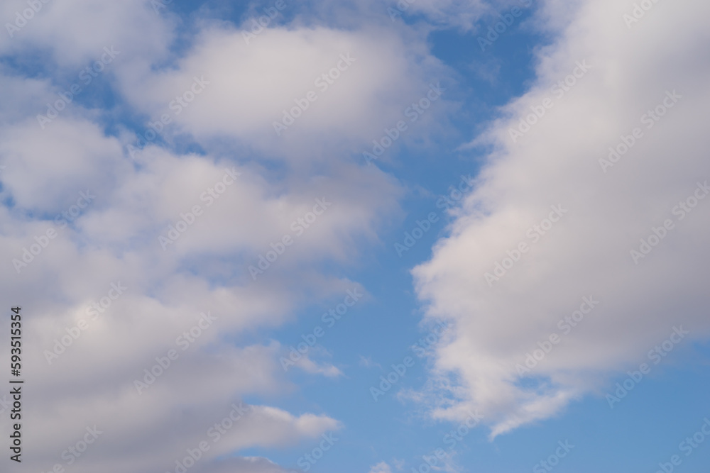 Fototapeta premium 見上げるといい天気
