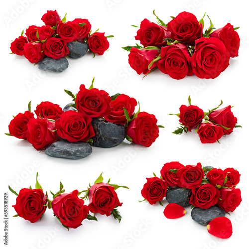 Fototapeta Naklejka Na Ścianę i Meble -  Set of red roses flowers buds isolated on white background
