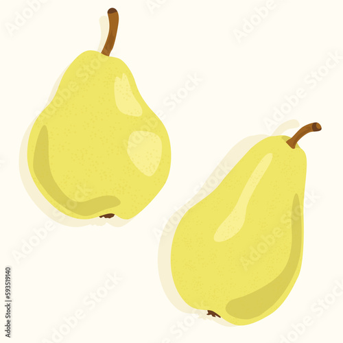 Two yellow pears of different sizes and shapes. Vector icons on the theme of food. Useful fruits.