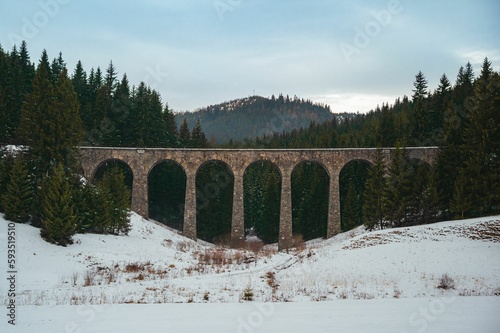 Bridge for the railroad through the forest in winter © Juraj Varga/Wirestock Creators