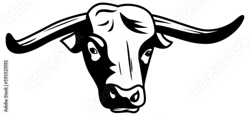 head of a bull
