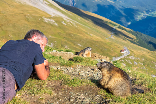 Man looking at Alpine Marmot on sunny day, Carinthia, Austria photo