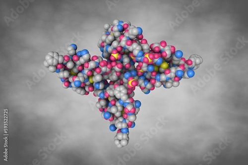 Human beta-defensin-1. Space-filling molecular model on gray background. Scientific background. 3d illustration