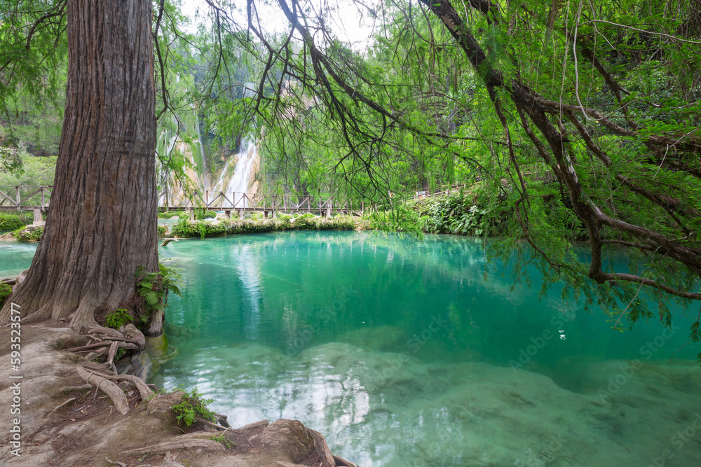 Fototapeta premium Waterfall in Mexico