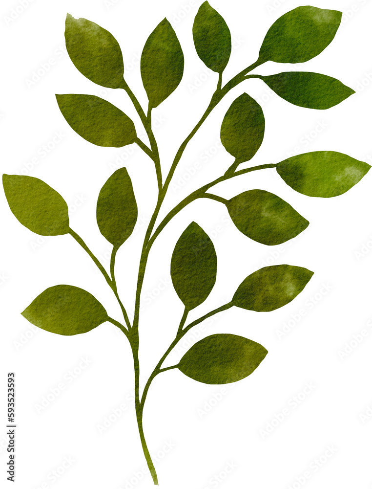 green leaf watercolor png