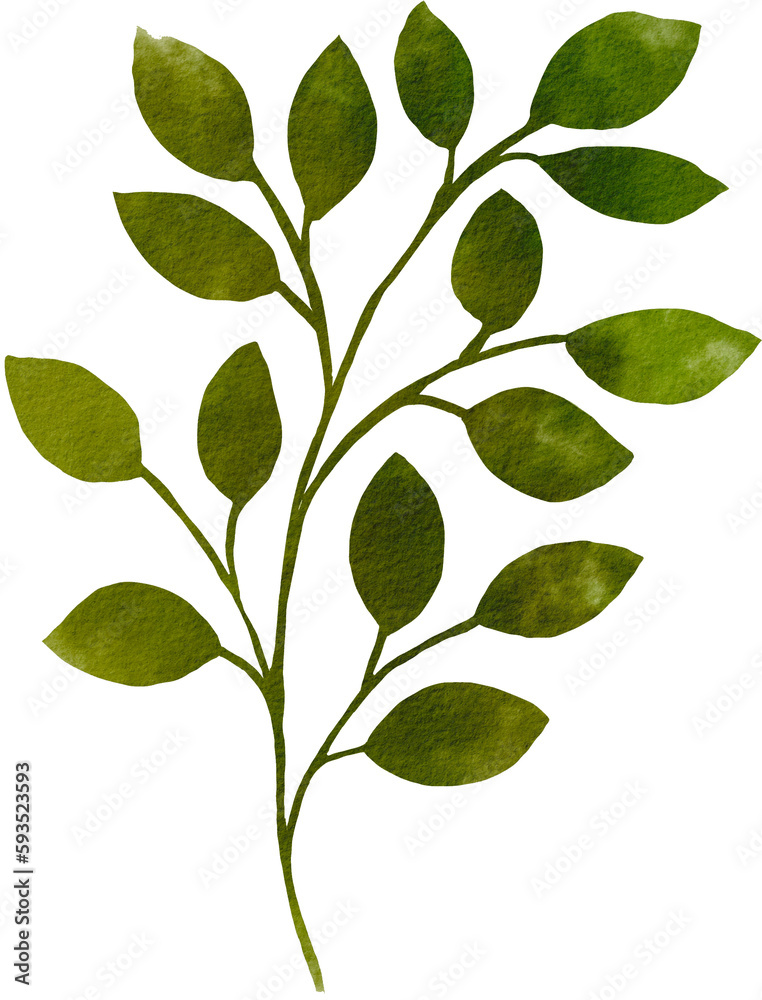 green leaf watercolor png green leaf watercolor png