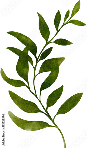 green leaf watercolor png © bentoe