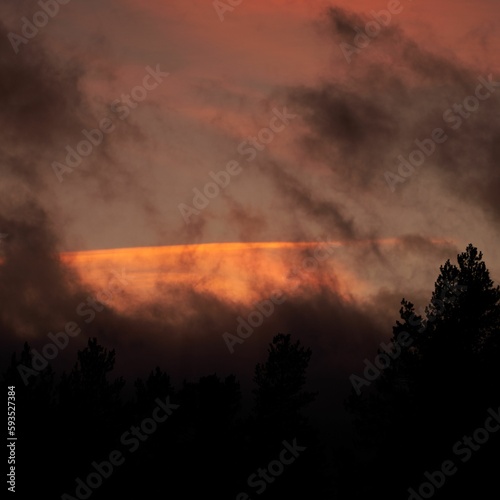 Scenic shot of dark red clouds covering the tops of trees, cool for background