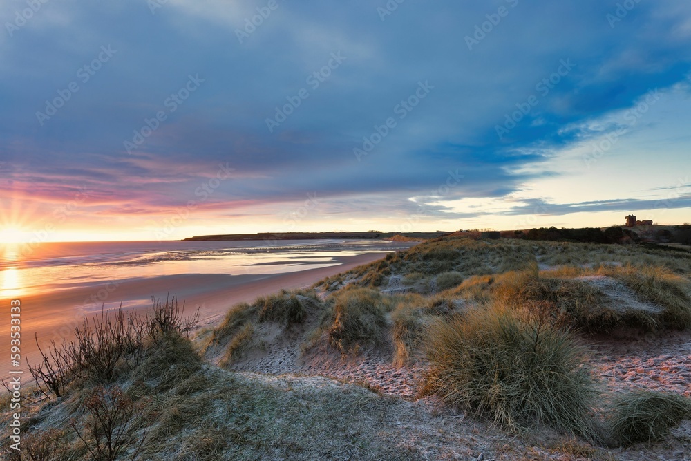 Fototapeta premium Scenic view of green shrubs covered with frost on sandy Lunan Bay in Arbroath, Scotland at sunset