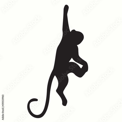 Squirrel Monkey silhouettes and icons. Black flat color simple elegant Squirrel Monkey animal vector and illustration.