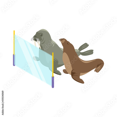 Walruses Isometric Illustration