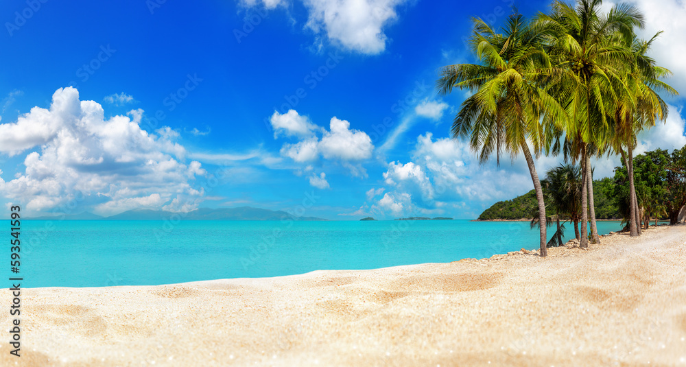 Obraz premium Tropical island sea beach, beautiful paradise nature panorama landscape, coconut palm tree green leaves, turquoise ocean water, blue sky sun white cloud, yellow sand, summer holidays, vacation, travel