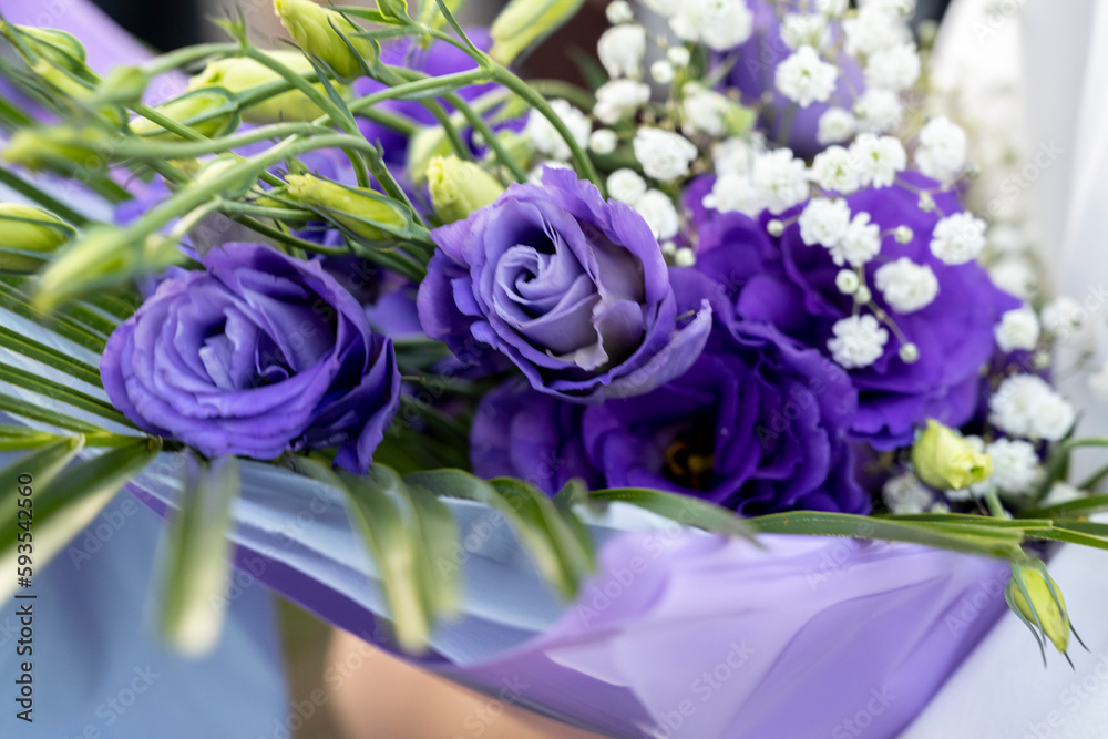 A bouquet of purple roses