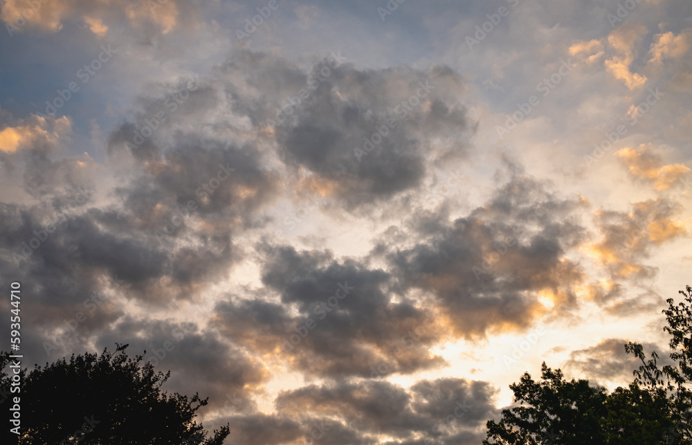 Fototapeta premium sunset in the sky