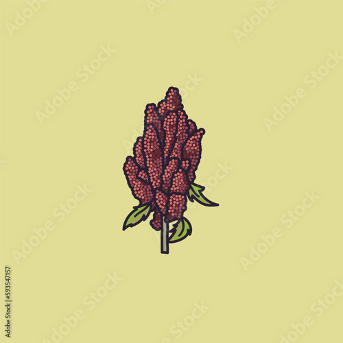 Quinoa panicle vector illustration for Quinoa Day on January 16