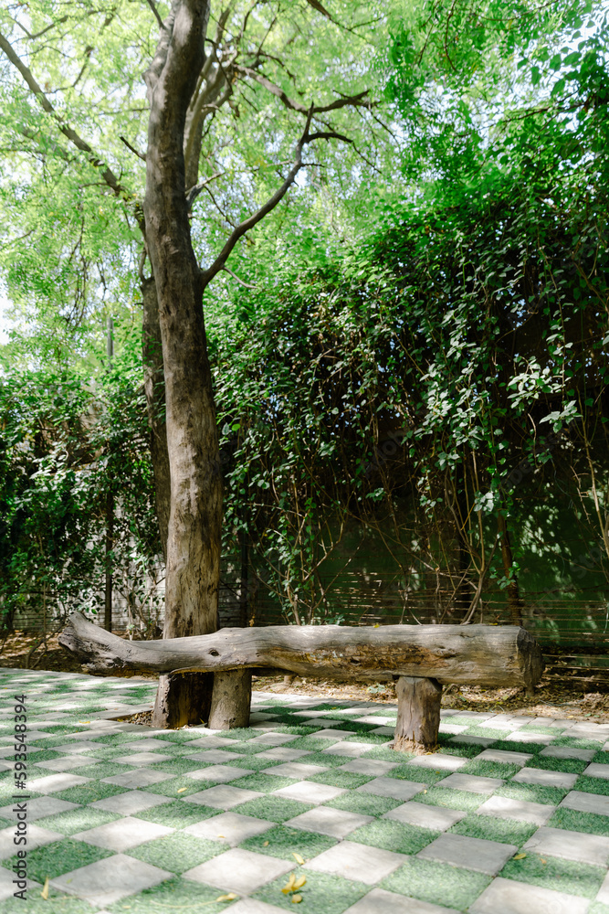 bench in the park bench in the park
