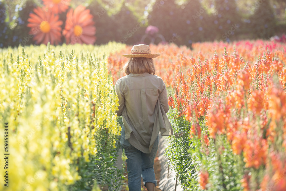 Beautiful woman enjoying flowers field, nice female lying down in meadow of flowers, pretty girl relaxing outdoor, having fun, happy young lady and spring green nature, Freedom concept. Beautiful woman enjoying flowers field, nice female lying down in meadow of flowers, pretty girl relaxing outdoor, having fun, happy young lady and spring green nature, Freedom concept.