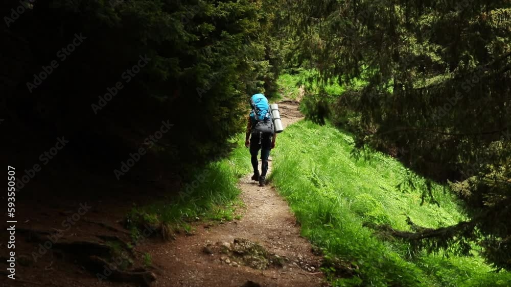 Aerial view of hiker walking on mountain road surrounded by grass and trees