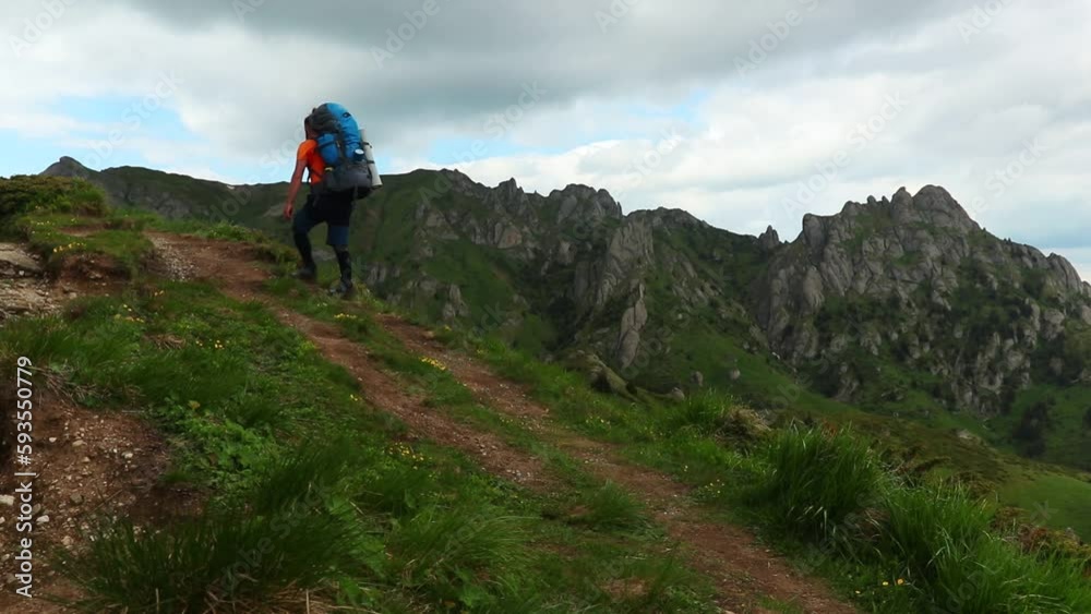 Aerial view of hiker walking on mountain road surrounded by grass and trees Aerial view of hiker walking on mountain road surrounded by grass and trees