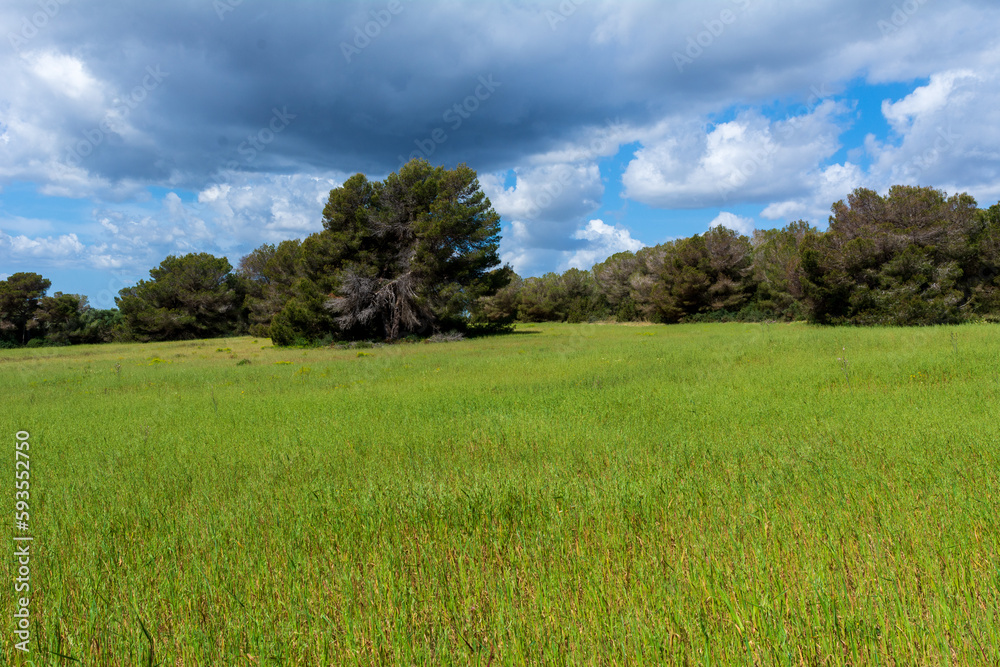 Beautiful landscape next to a hiking trail