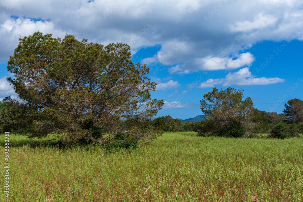 Beautiful landscape next to a hiking trail Beautiful landscape next to a hiking trail