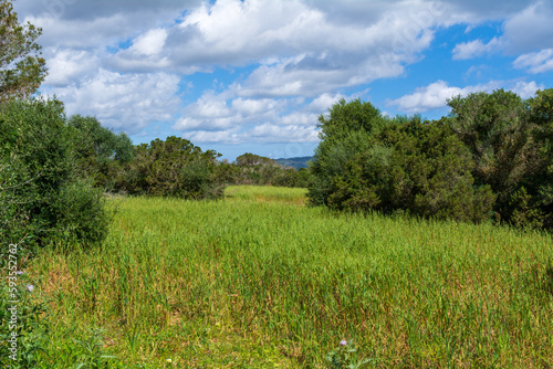 Beautiful landscape next to a hiking trail