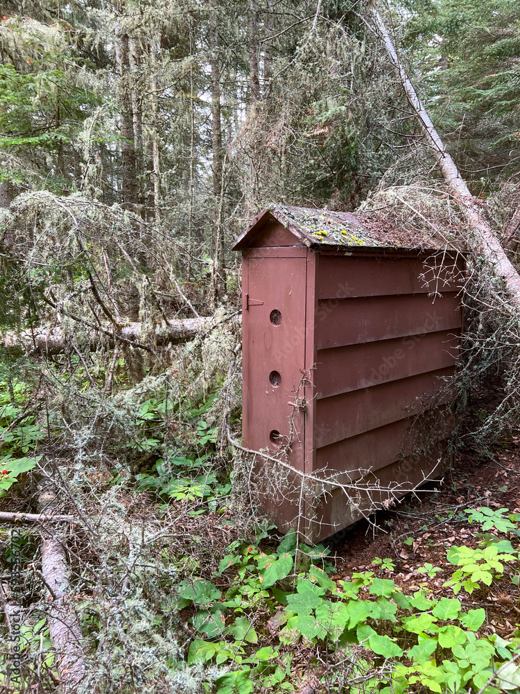 A rustic birdhouse structure stands in the middle of the forest wilderness. It is surrounded by plants and trees A rustic birdhouse structure stands in the middle of the forest wilderness. It is surrounded by plants and trees