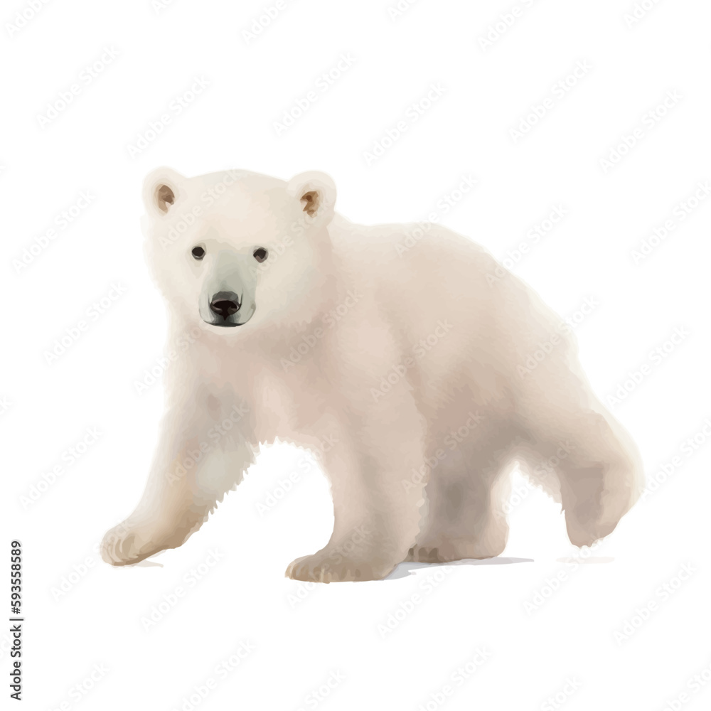 Obraz premium baby polar bear with style hand drawn digital painting illustration
