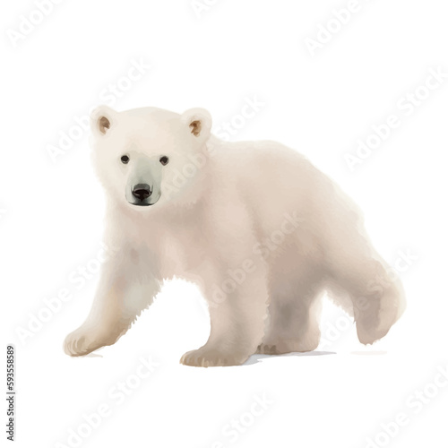 baby polar bear with style hand drawn digital painting illustration