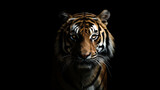An image of a head of a tiger on a black background in the style of time-lapse photography. Generative AI