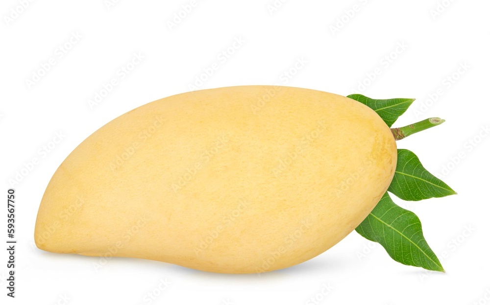 Fresh ripe mango white leaves isolated on white background. Fresh ripe mango white leaves isolated on white background.