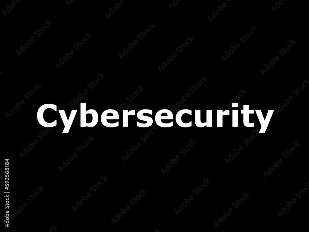 Fototapeta premium Cybersecurity