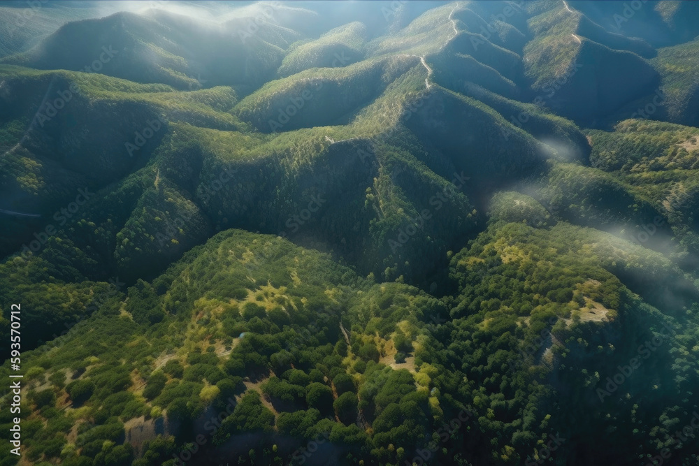 Top view of the forest on the mountain. Generative AI