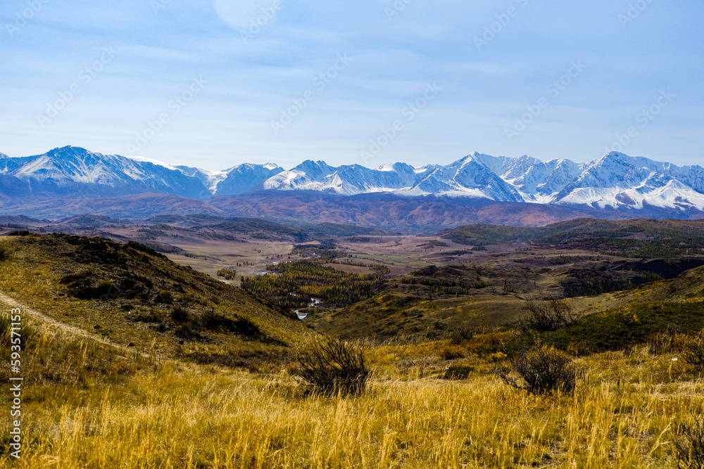 Fototapeta premium Autumn yellow landscape of the valley desert in front of majestic snow-capped high mountains. Kurai Steppe. 