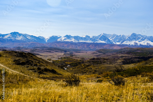 Autumn yellow landscape of the valley desert in front of majestic snow-capped high mountains. Kurai Steppe. 