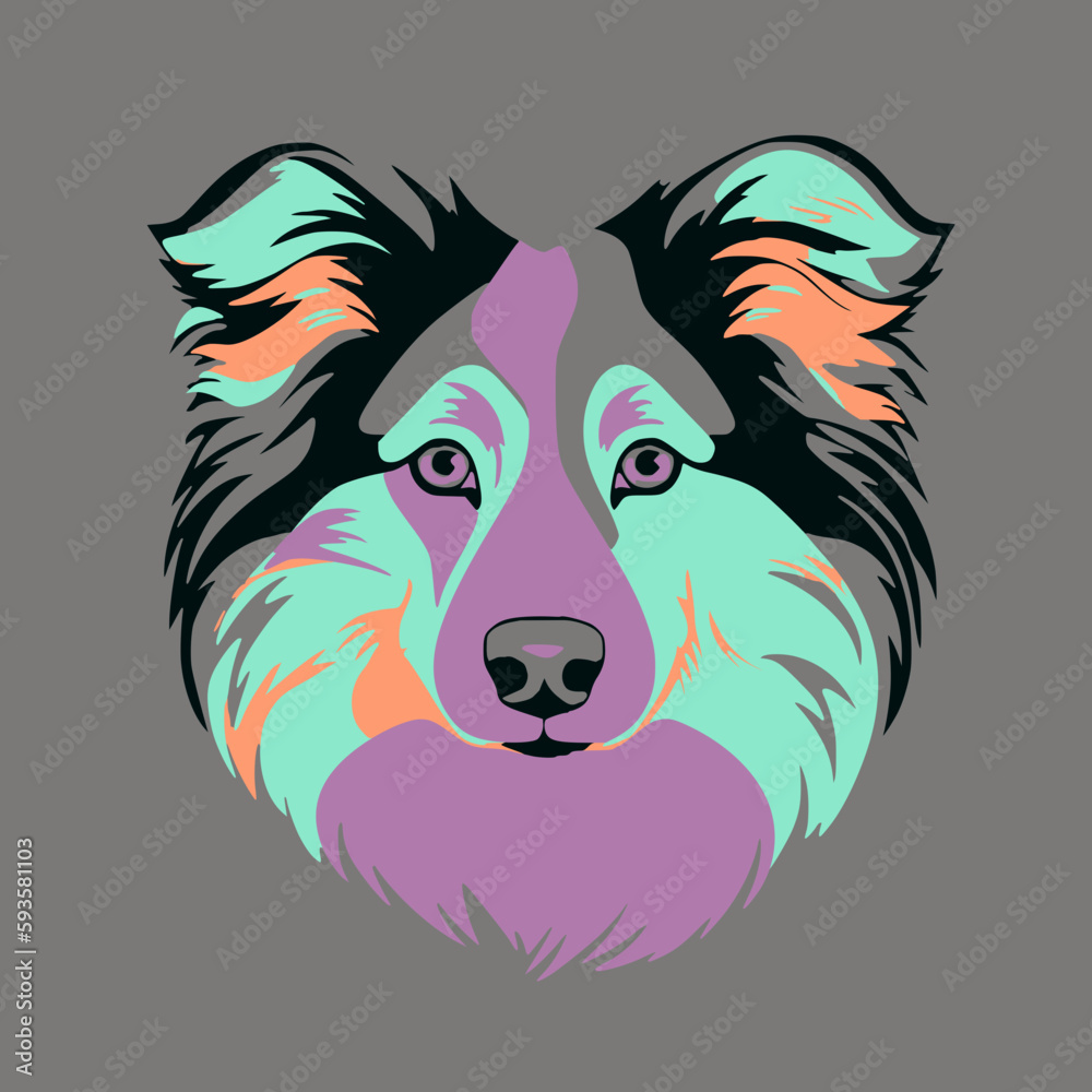 Naklejka premium Collie dog's face in fun teal, orange and purple colors