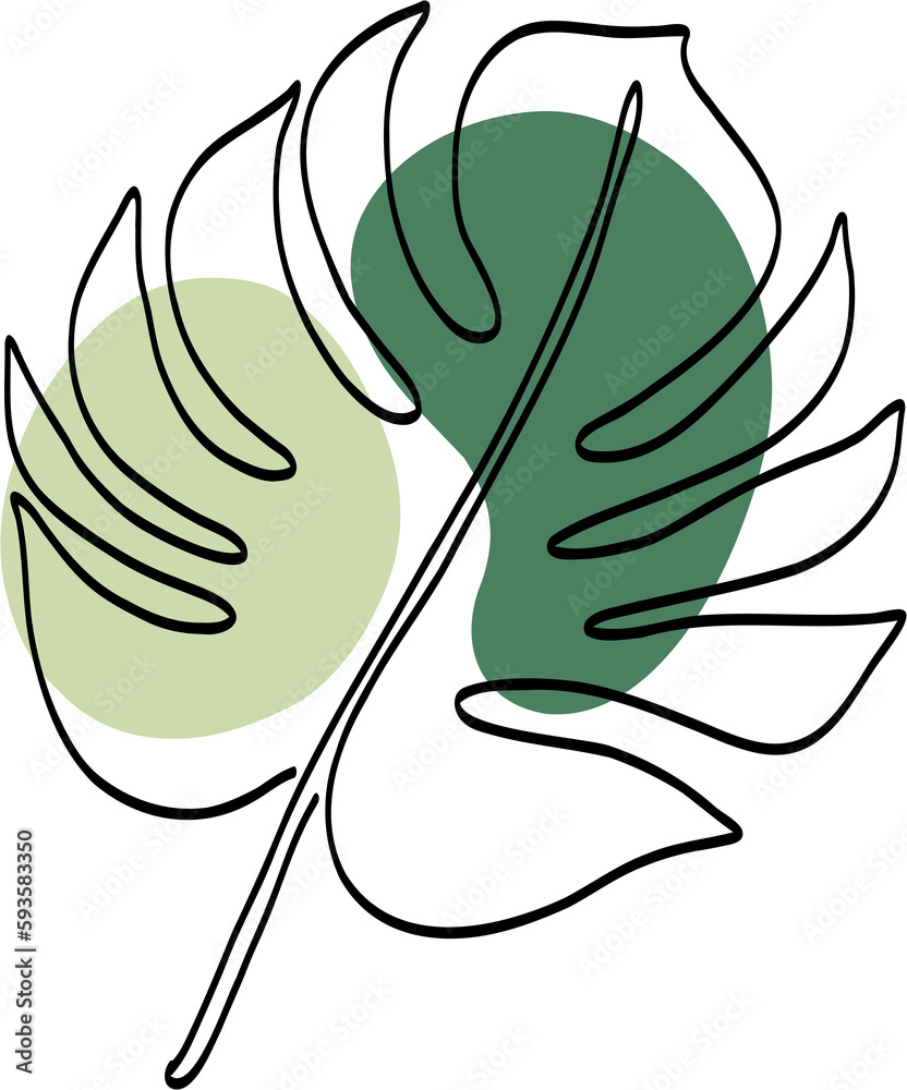 Simplicity monstera leaf freehand drawing Simplicity monstera leaf freehand drawing