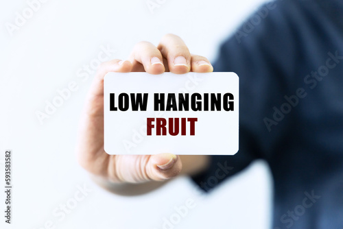 Low hanging fruit text on blank business card being held by a woman's hand with blurred background. Business concept about low hanging fruit.