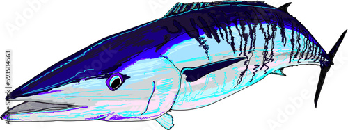 Full Colored Wahoo Game Fish photo