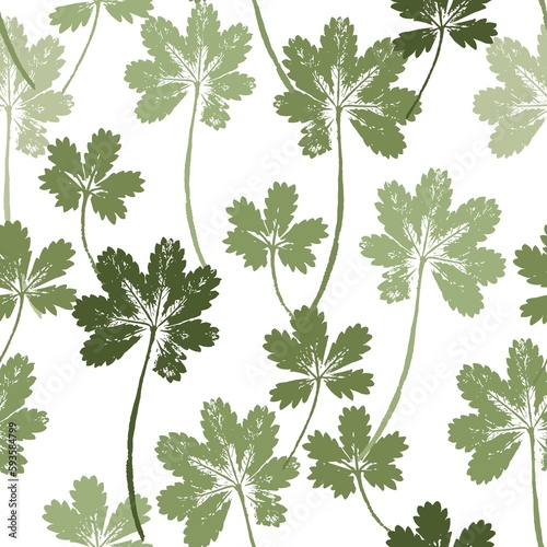 Seamless pattern with multicolored openwork silhouettes of large and small green leaves of a grassy field plant on a white background. Summer nature pattern for fabric. Green background.