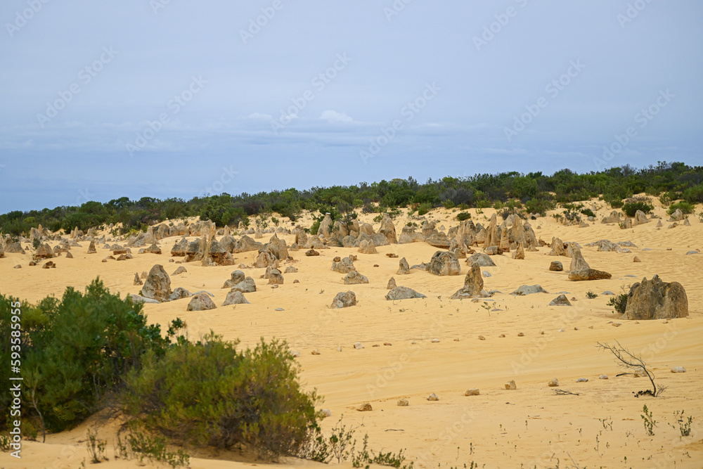 Sand covered Pinnacles in Nambung, Western Australia Sand covered Pinnacles in Nambung, Western Australia