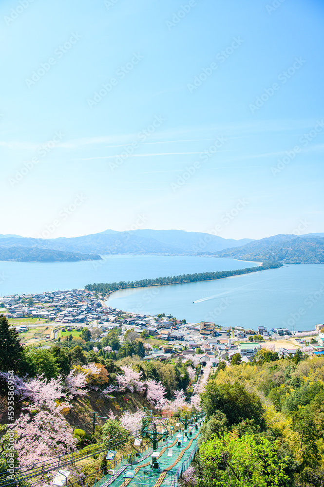 天橋立 天橋立