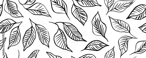 Tropical leaves with veins seamless pattern. Hand drawn outline tropical branches. Botanical seamless banner with simple linear basil leaves. Vector exotic foliage drawn with thin brush.