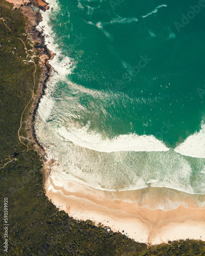 Praia do Rosa coastline