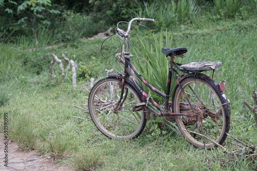 farmer's bicycle parked on the edge of the rice field