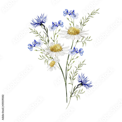 Watercolor bouquet with wild flowers of cornflower and chamomile.